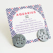 Aquarius Zodiac Constellation Sterling Silver Disc Earrings