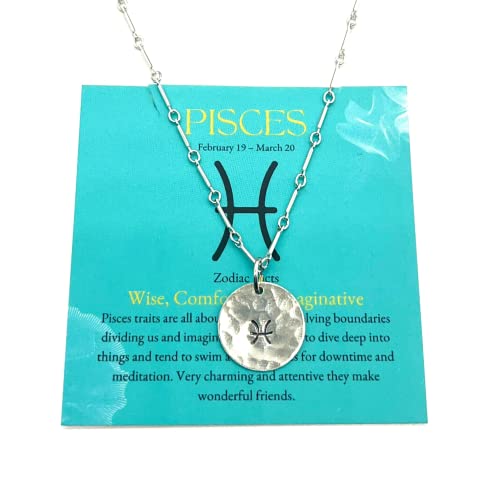 Pisces Zodiac Argentium Silver Necklace Straight Bar and Link Chain | Nickel Free