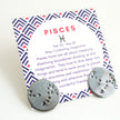 Pisces Zodiac Constellation Sterling Silver Disc Earrings