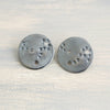 Pisces Zodiac Constellation Sterling Silver Disc Earrings